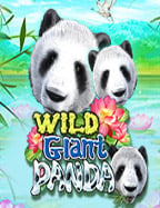 วิธีเล่นและสิ่งที่ควรรู้เกี่ยวกับ สล็อต 222 สำหรับมือใหม่